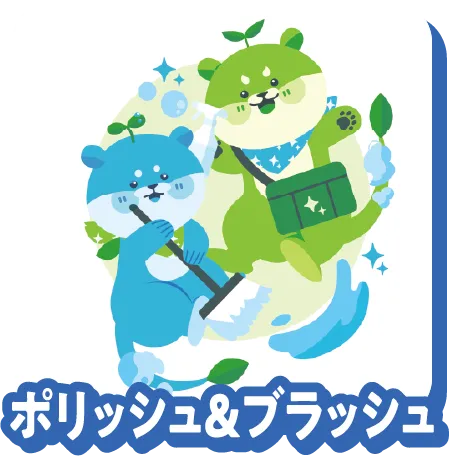 ポリッシュ&ブラッシュ